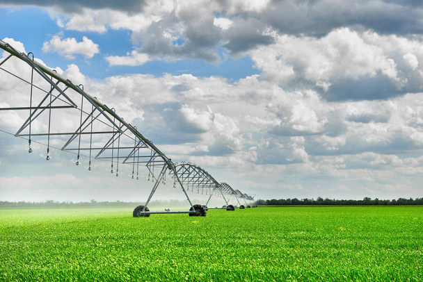 irrigação máquina rega campo agrícola com brotos jovens, plantas verdes em solo preto e céu bonito
 - Foto, Imagem