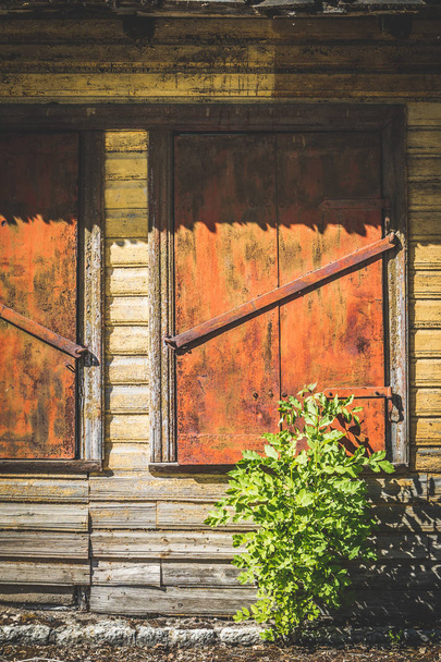 Staré uzavřené dřevěné okenní rolety a zelené křoví pod ním. - Fotografie, Obrázek