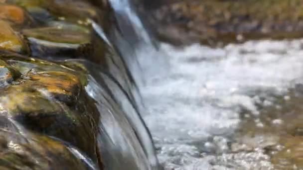 Kis vízesés és a tiszta víz - Felvétel, videó