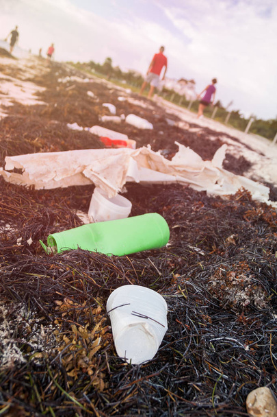 Plastik şişe kirliliği ve yosunlar Sandy Beach - Fotoğraf, Görsel