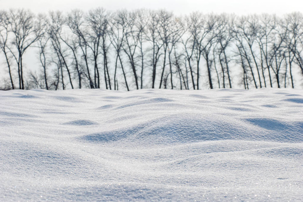 Derivadas de inverno em tempo gelado com árvores no fundo
 - Foto, Imagem