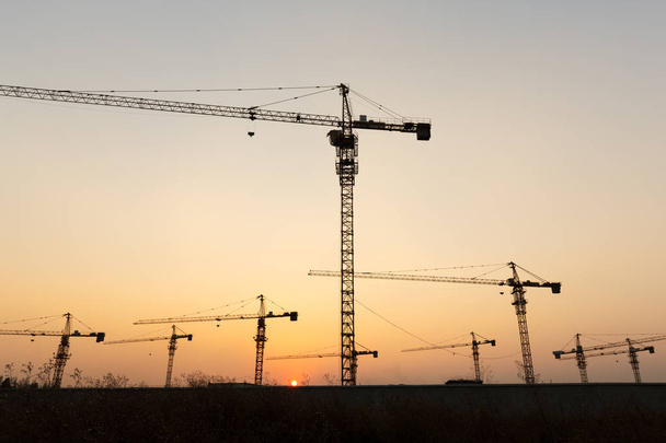 construction cranes on sunset background - Photo, Image