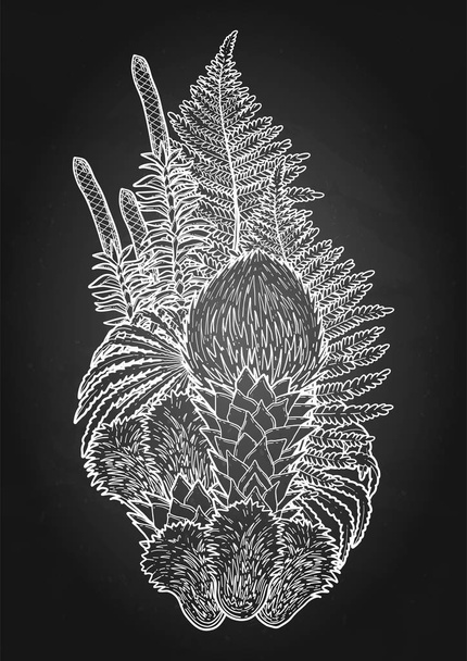 Grafické Rhyniové rostliny - Vektor, obrázek