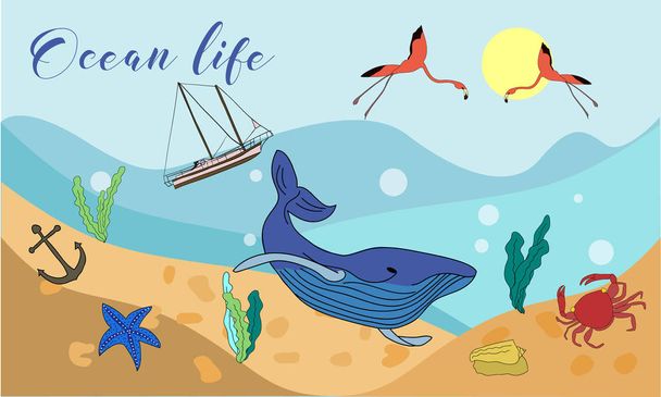 Vector drawn ocean life background with hand drawn underwater animals and plants. Crab, flamingos, sea star, fish, sea shell, jellyfish in sketch style. - Вектор, зображення