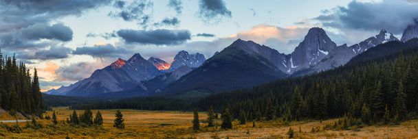 Mountain Meadow in the Canadian Rocky mountains in Kananaskis - Photo, Image