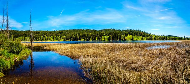 Kidd jezero po dálnici 5a, dálnice Kamloops Princeton, mezi městy Merritt a Princeton v Britské Kolumbii, Kanada - Fotografie, Obrázek