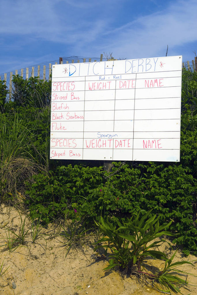 hand drawn fishing contest sign on dunes in Montauk, New York, Ditch Plains Beach - Photo, Image