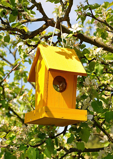Προβολή λεπτομερειών, birdhouse στον κήπο - Φωτογραφία, εικόνα