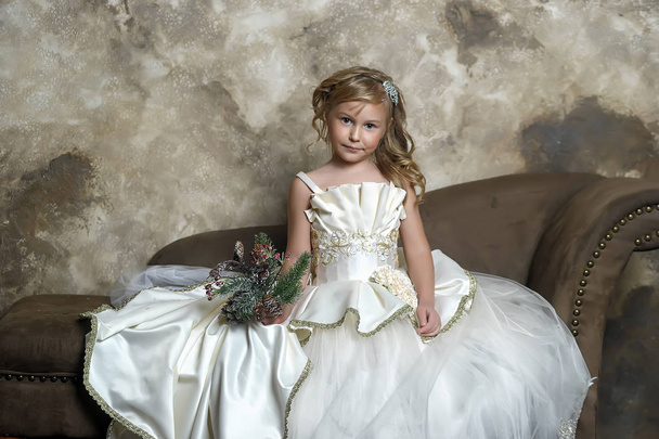 young princess in a smart white dress in christmas - Photo, image