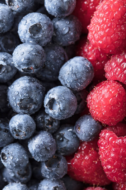 Ripe and juicy fresh picked berries closeup. Blueberries and raspberries background. - Valokuva, kuva