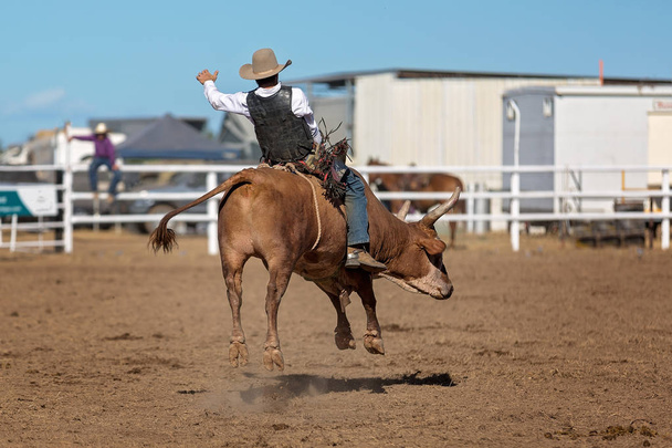 Un cowboy che gareggia in una gara di bull riding a un rodeo di campagna
 - Foto, immagini