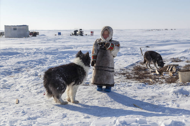 tundra, área abierta, el niño con un perro en invierno frío, el niño con ropa nacional
, - Foto, imagen
