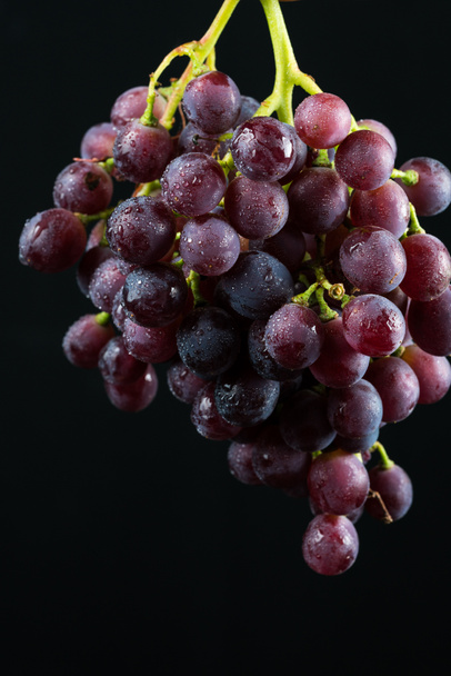 uvas pretas doces e gotas de água
 - Foto, Imagem