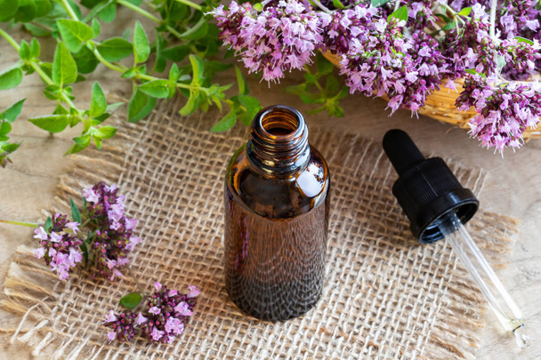 A bottle of essential oil with fresh blooming oregano twigs - Fotoğraf, Görsel