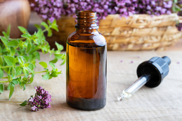 A bottle of essential oil with fresh blooming oregano twigs - Foto, imagen
