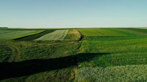 4 k luchtfoto drone-beelden. Vliegen over coloful velden op heuvels - Video
