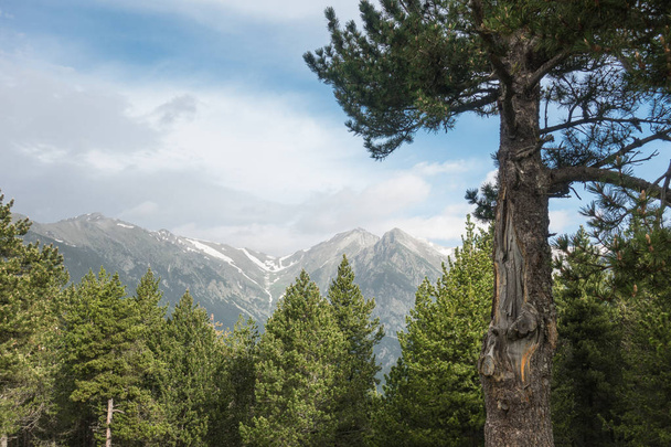 Beau paysage avec vue sur les montagnes. Pyrénées orientales, Espagne
. - Photo, image
