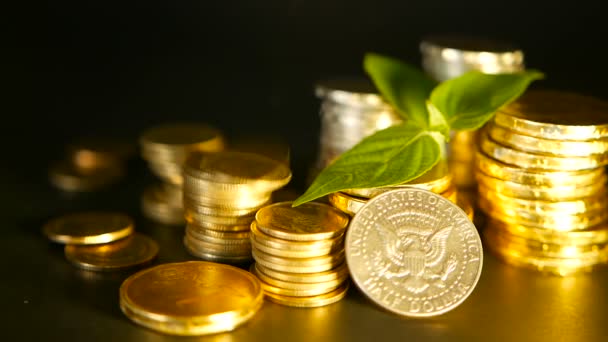 Golden coins and green leaf of sprout on black background. Success of finance business, mortgage and banking concepts - Footage, Video