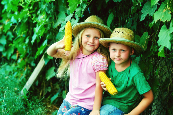 Vicces gyerekek természet gazdaság főtt kukorica - Fotó, kép