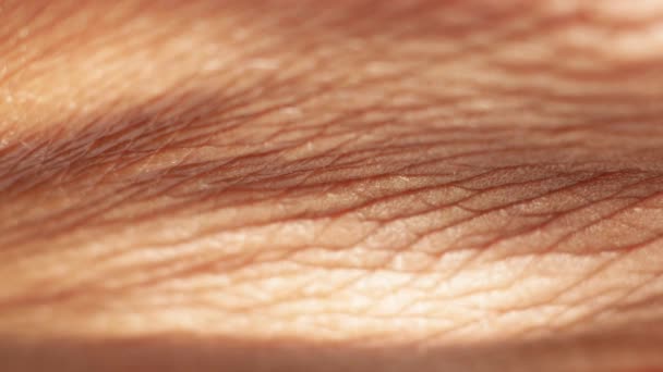 Close up of a hairy skin - Footage, Video