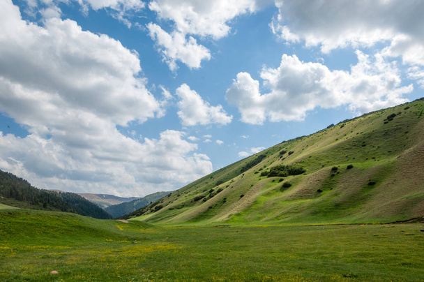 montanha, monte, colina. Cazaquistão. Tien Shan. Planalto de Assy
 - Foto, Imagem