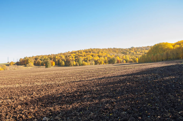 Herbstlandschaft. Feld pflügt auf dem Hintergrund eines Herbstbaumes. Bunte Bäume. gelb, goldrot braun.  - Foto, Bild
