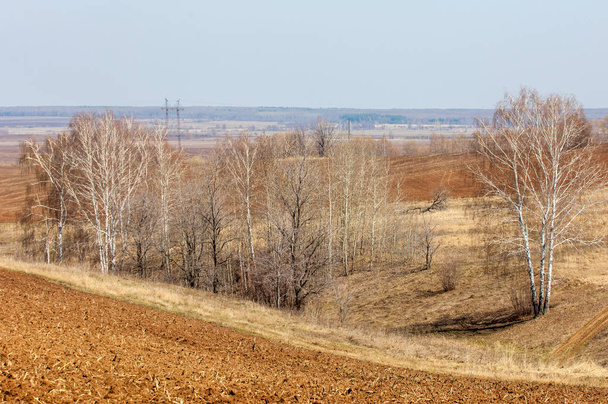 Spring landscape. Freshly plowed field. hilly terrain. trees without leaves. Multicolored spring trees. Snow left over from last year's winter. The last snow. - Foto, Imagen