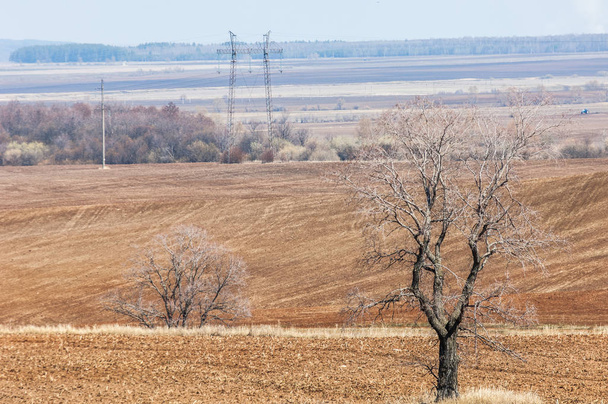Spring landscape. Freshly plowed field. hilly terrain. trees without leaves. Multicolored spring trees. Snow left over from last year's winter. The last snow. - Photo, Image