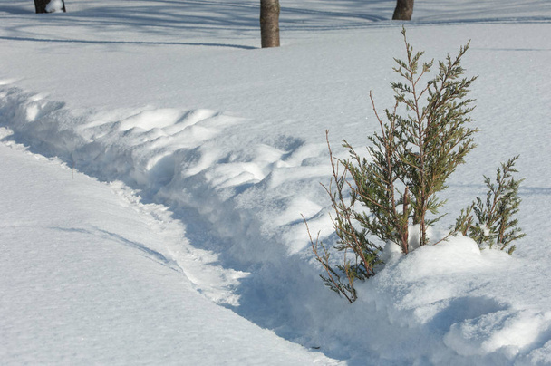 Textur, Hintergrund, Muster. Fußabdrücke im Schnee. Der Frost ist sehr kalt. weiße Schneedecke auf dem Boden. atmosphärischer Wasserdampf gefriert in Eiskristallen und fällt in hellweiße Flocken  - Foto, Bild