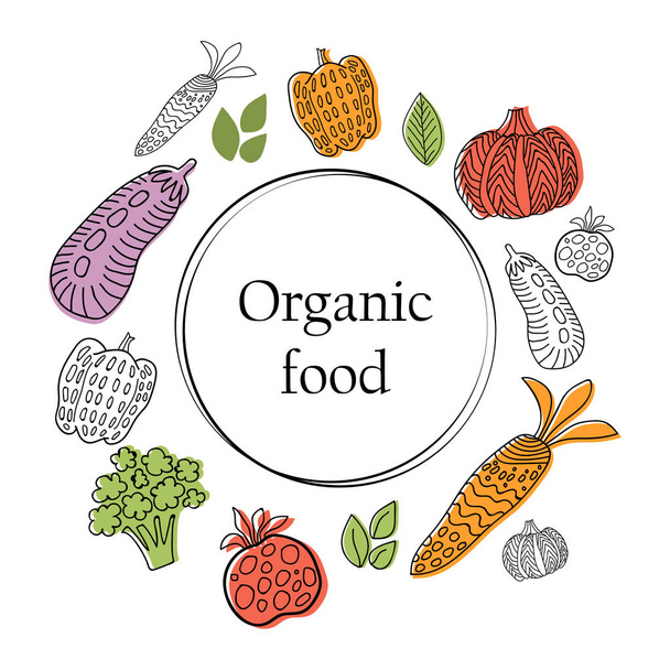 Organic food banner with vegetables collection in linear graphic style. Vector background. Scandinavian style - Vektör, Görsel