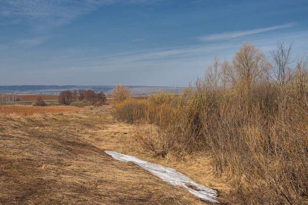 Spring landscape. Freshly plowed field. hilly terrain. trees without leaves. Multicolored spring trees. Snow left over from last year's winter. The last snow. - Photo, image