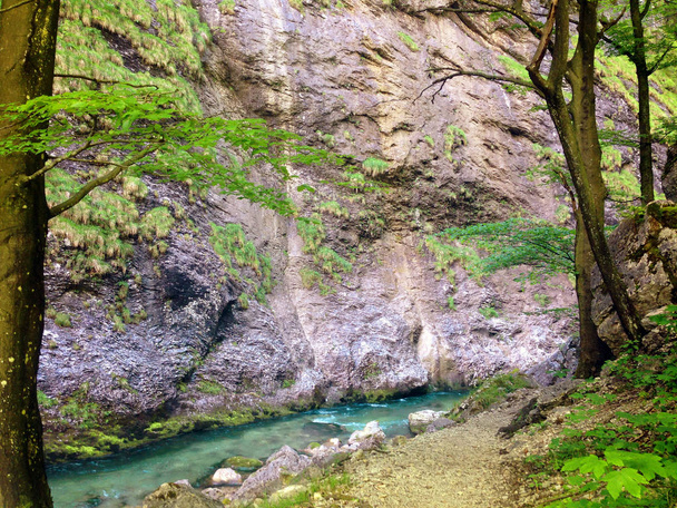 el río Erlauf en el Vorderer Tormaeuer, Baja Austria, Austria
 - Foto, Imagen