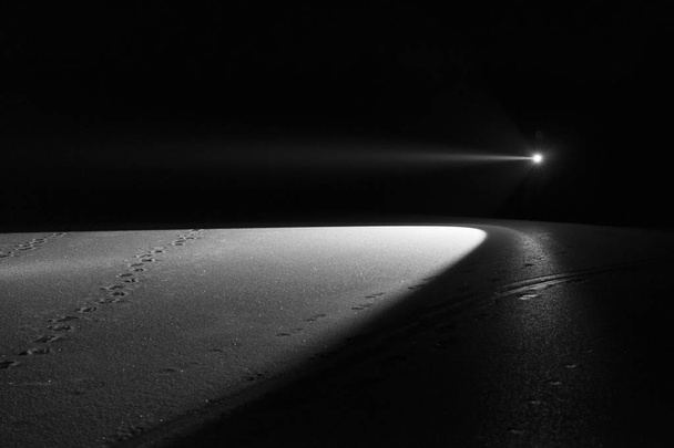 Человек, стоящий ночью на улице в аллее деревьев, сияющий фонариком. Прекрасная тёмная снежная зимняя ночь
. - Фото, изображение