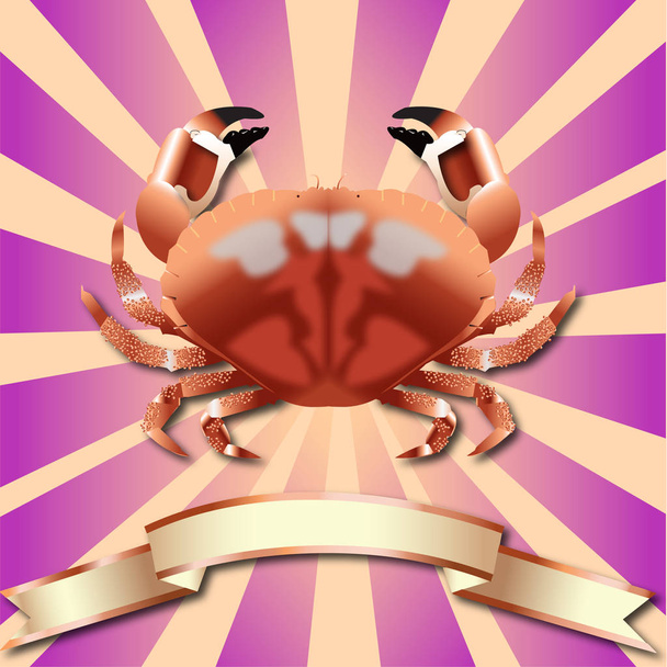 Crab realistic Retro Rays background Sea Food and Copper ribbon - Vector, Imagen