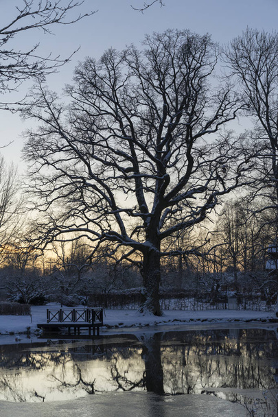 paisagem de inverno no lago - Katrineholm Suécia
  - Foto, Imagem