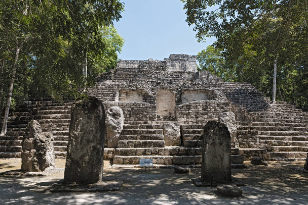 Le rovine dell'antica città maya di calakmul, campeche, Messico
 - Foto, immagini