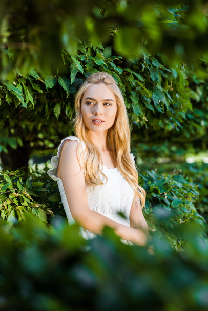 selective focus of beautiful blonde girl in white dress posing near green leaves  - Фото, изображение