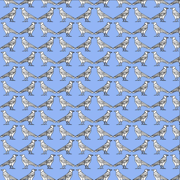 Κοράκια. Το μοτίβο της τα διαγώνια περιγράμματα των κοράκων, λευκό σε ένα μπλε backgroun - Διάνυσμα, εικόνα