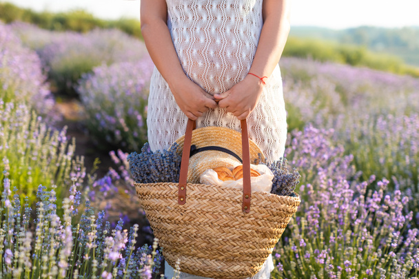 cropped image of pregnant woman in white dress holding picnic basket at violet lavender field - Foto, Imagem