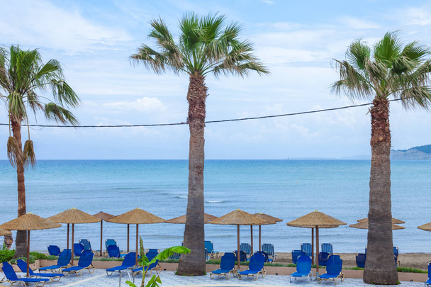 Palmbomen stijgende hoog in de buurt van het strand. Houten bonita hutten en draagbare stoelen instellen hieronder. Een tegel bestrating rond de planten. Beach resort faciliteit - Foto, afbeelding