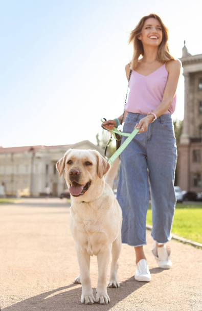Owner walking her yellow labrador retriever outdoors - Photo, Image