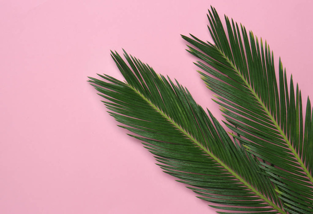 Beautiful tropical leaves on color background, top view - Fotografie, Obrázek