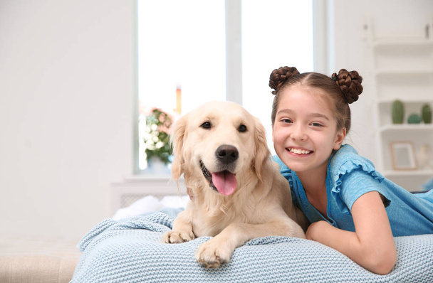 Cute little child with her pet on bed at home - Valokuva, kuva