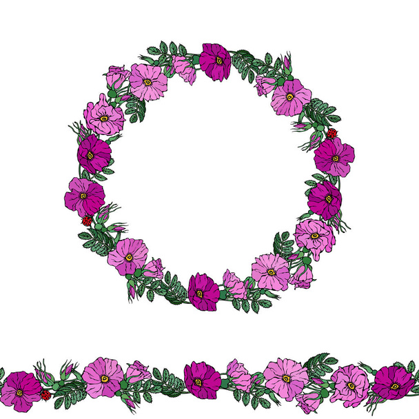 Round Frame and Endless Brush with Wild Roses. Summer Flowers Greeting Card or Wedding Background. Hand Drawn Illustration. Doodle Style - Vector, Image