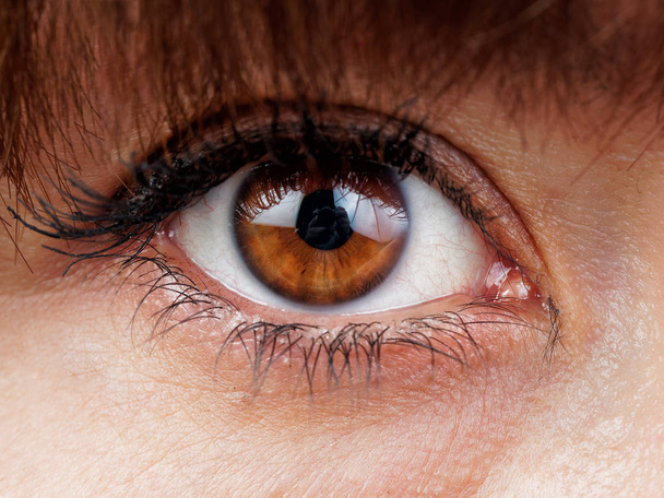 Brown Woman eye close up - Foto, Imagen