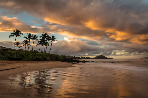 Αντανάκλαση της μια τροπική σκηνή στο Sunrise σε μια νότια παραλία Maui, Χαβάη - Φωτογραφία, εικόνα