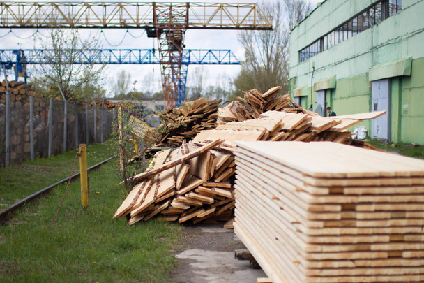 Fábrica de carpintería.Almacén de tableros y troncos. Madera en producción
 - Foto, imagen
