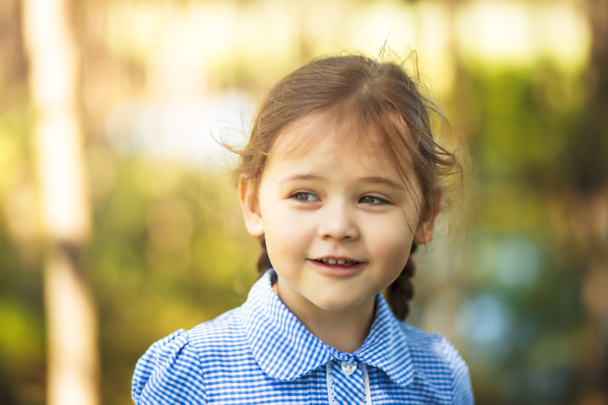 portrait of a little girl with pigtails on nature, emotions - Foto, imagen