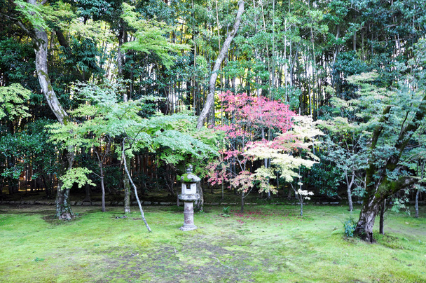 japanischer Garten im Tempel, Koto-in einem Untertempel von Daitoku-j - Foto, Bild