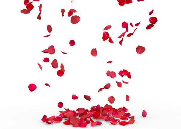 Rosenblätter fallen zu Boden. isolierter Hintergrund - Foto, Bild